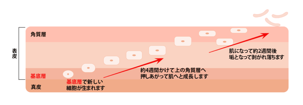 シミ 色素沈着 神戸日帰り手術クリニック